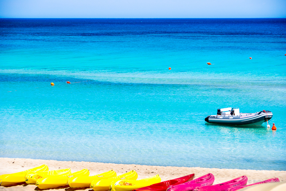 Ile aux cerfs (Mauritius)